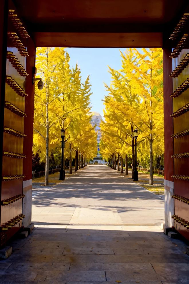 力实测：远胜游 资深玩家带你选对不踩坑开