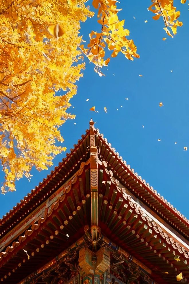 力实测：远胜游 资深玩家带你选对不踩坑开元ky棋牌2025北京优质旅行社实(图3)