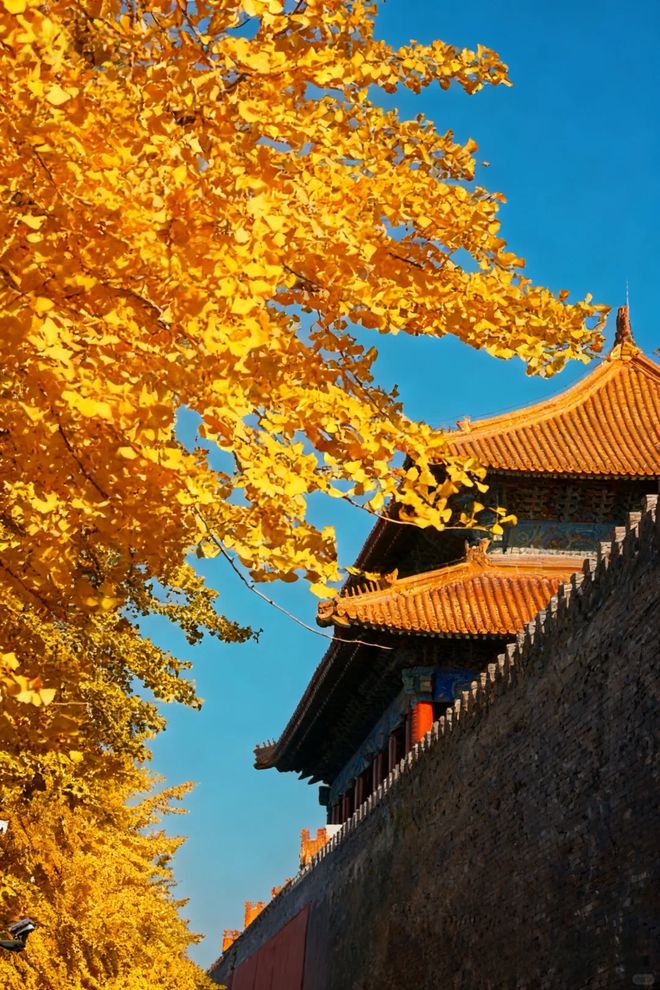 力实测：远胜游 资深玩家带你选对不踩坑开元ky棋牌2025北京优质旅行社实(图2)